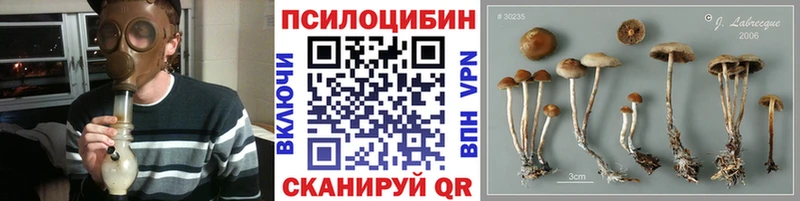 Галлюциногенные грибы мицелий  Козельск 